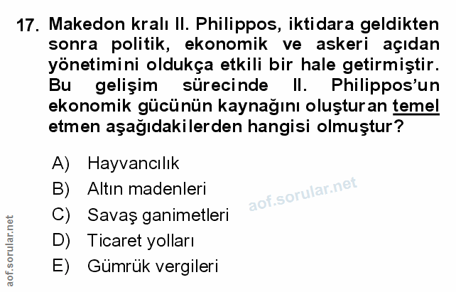 Soru 17