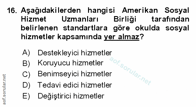 Soru 16