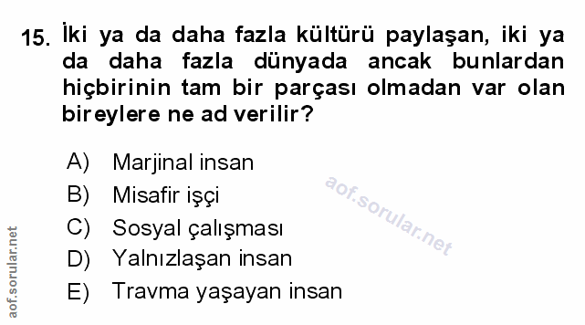 Soru 15