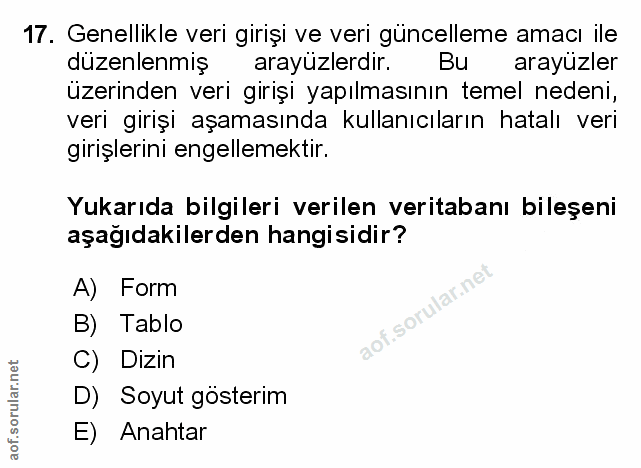 Soru 17