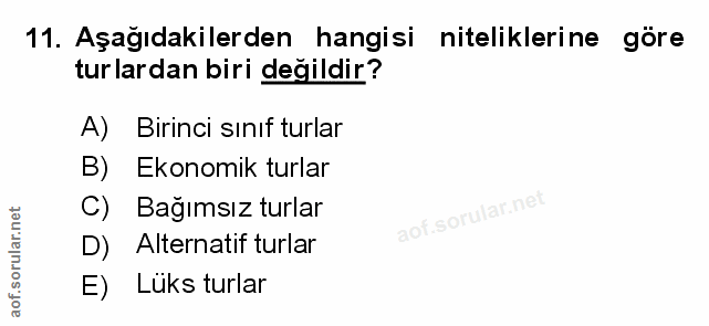Soru 11