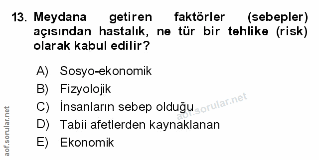 Soru 13