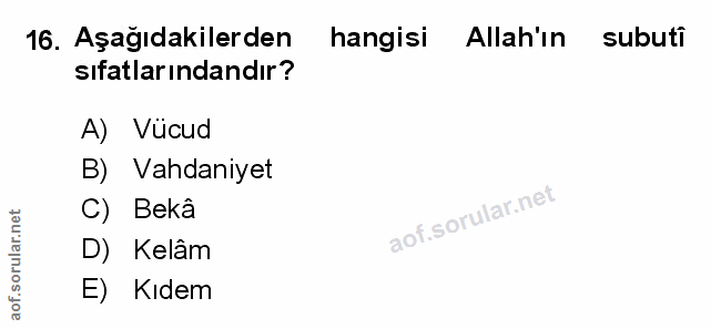 Soru 16
