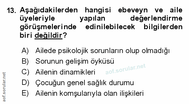 Soru 13
