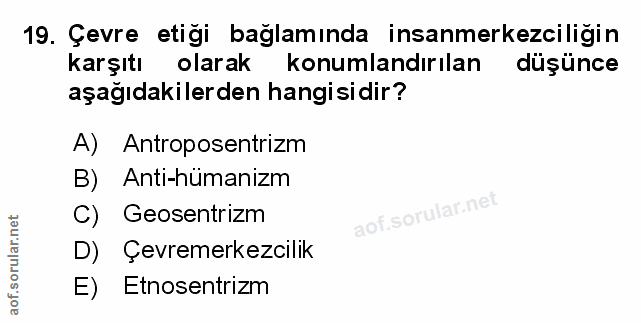 Soru 19