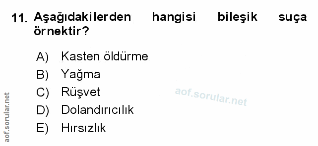 Soru 11