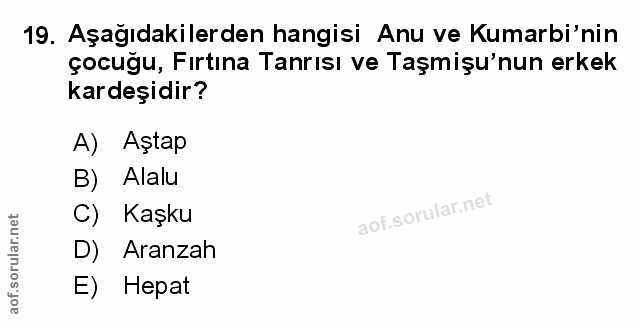 Soru 19