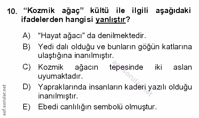 Soru 10