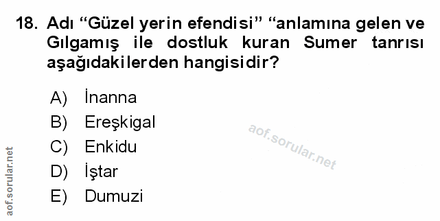 Soru 18