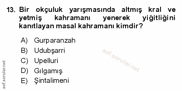 Soru 13