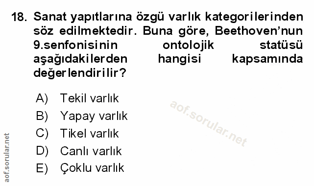 Soru 18