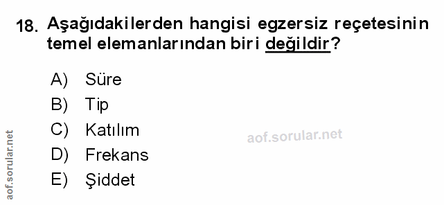 Soru 18