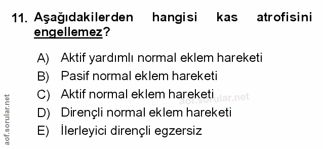 Soru 11