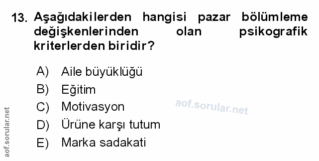 Soru 13