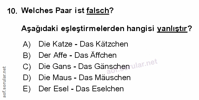 Soru 10