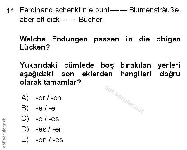 Soru 11