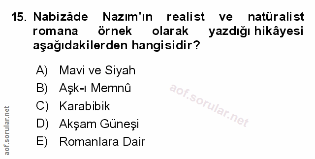 Soru 15