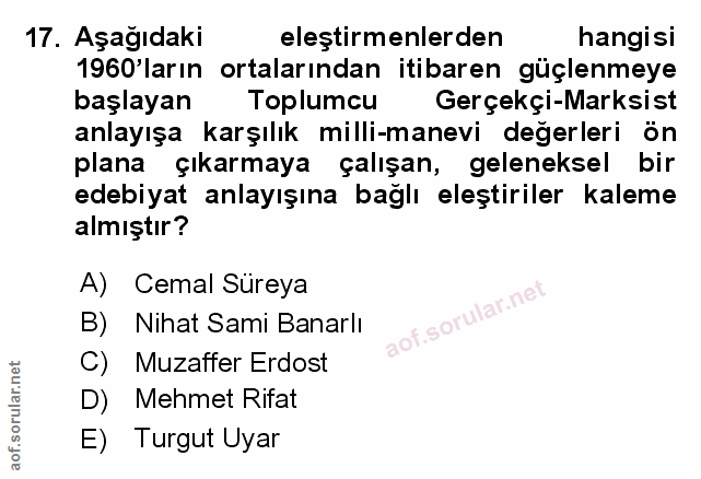 Soru 17