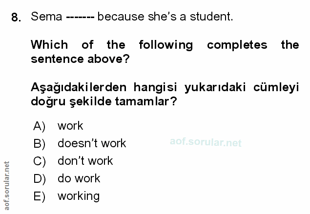 Soru 8