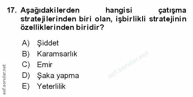 Soru 17