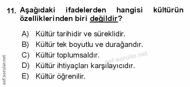 Soru 11