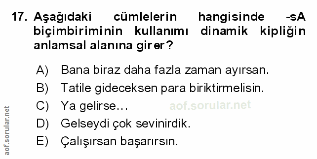 Soru 17