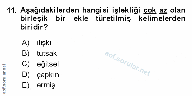 Soru 11