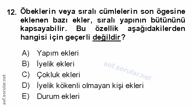 Soru 12