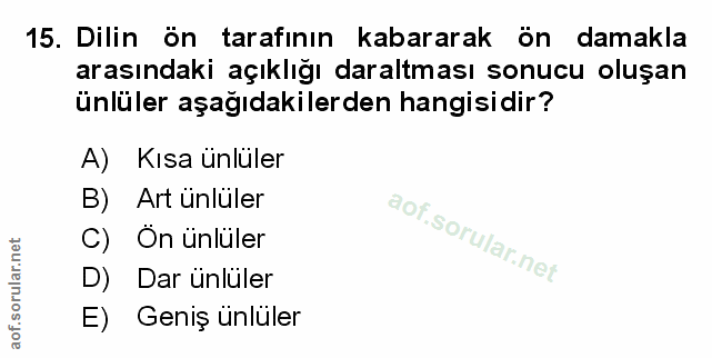 Soru 15