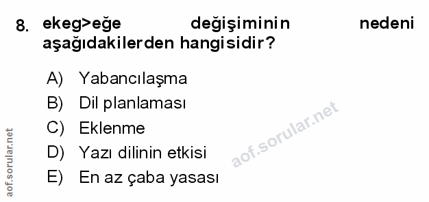 Soru 8