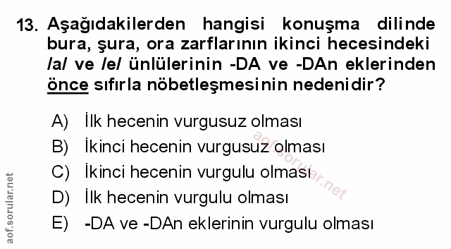 Soru 13