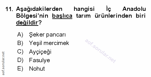 Soru 11