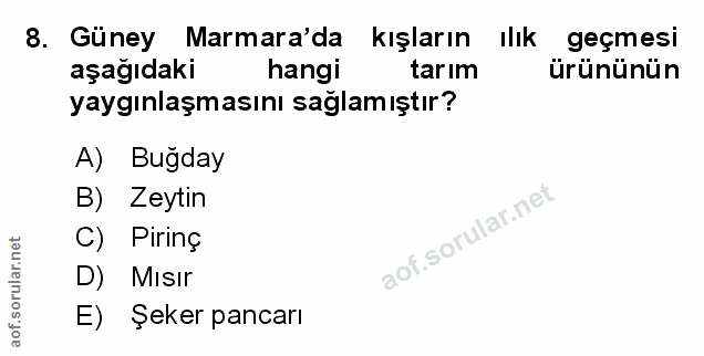 Soru 8
