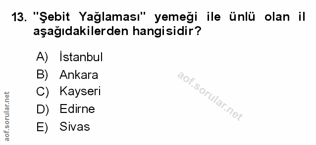 Soru 13