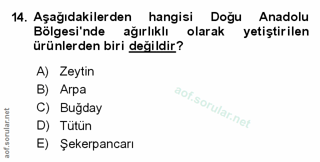 Soru 14