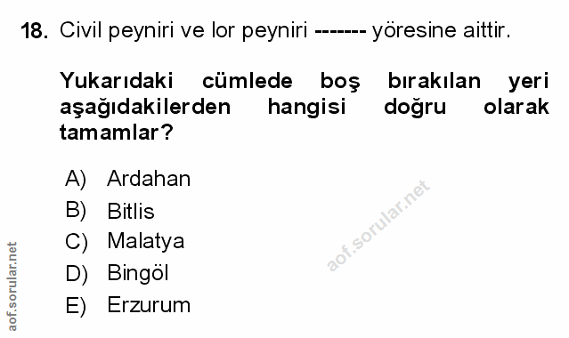 Soru 18