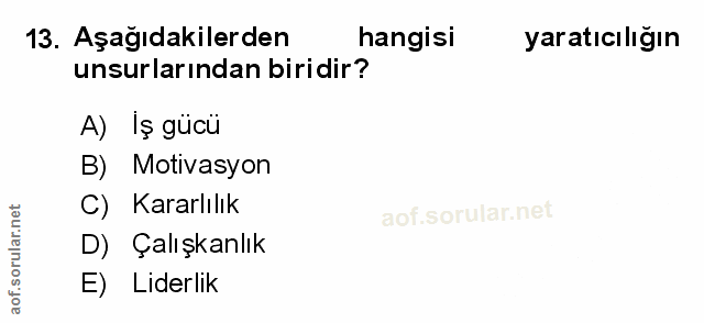 Soru 13