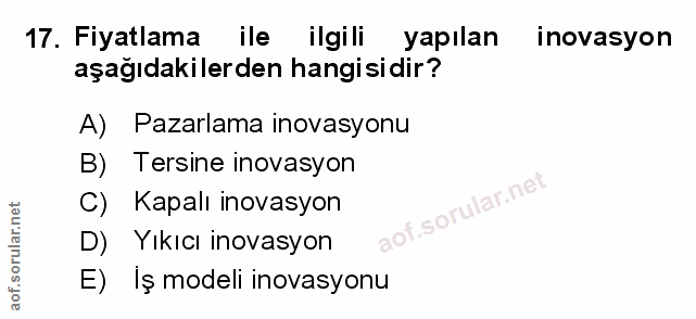 Soru 17