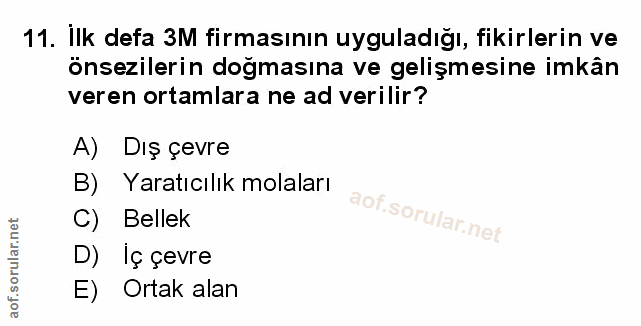 Soru 11