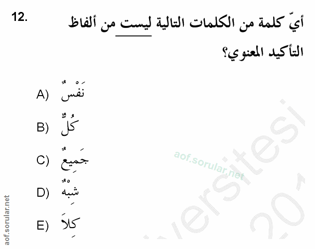 Soru 12