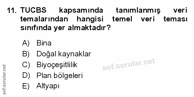 Soru 11