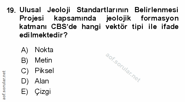 Soru 19