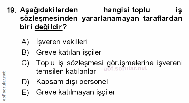Soru 19