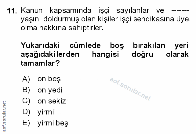 Soru 11