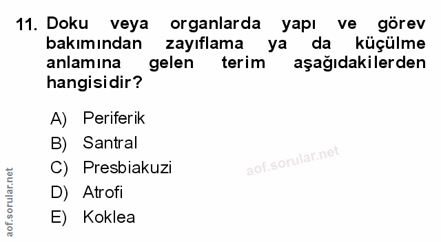 Soru 11