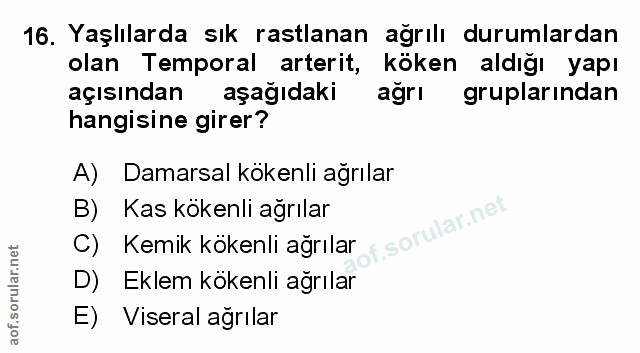Soru 16