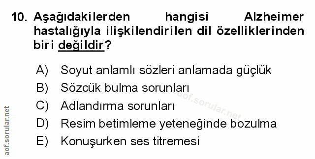 Soru 10