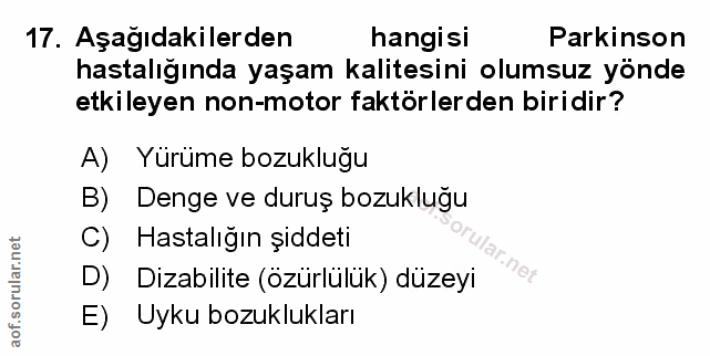 Soru 17