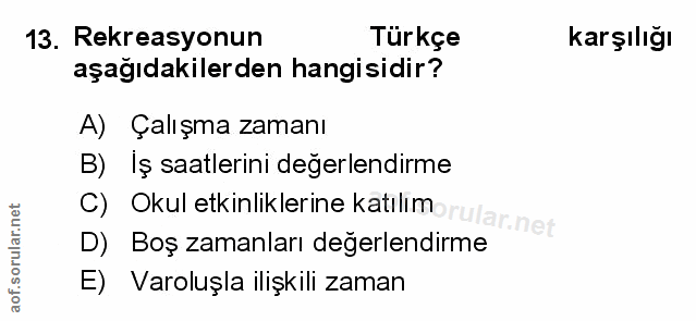 Soru 13