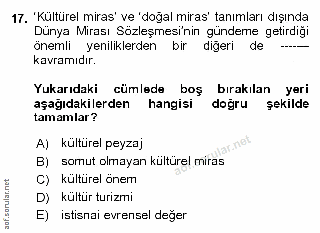 Soru 17